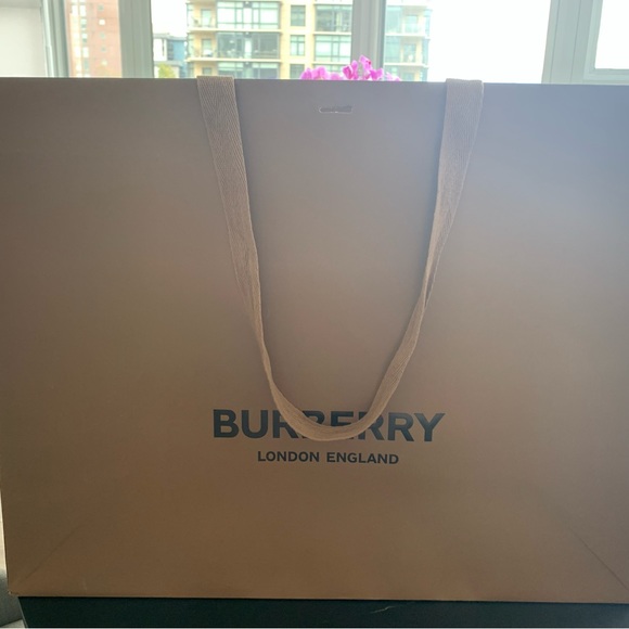 Large Burberry Paper Bag - Picture 1 of 1